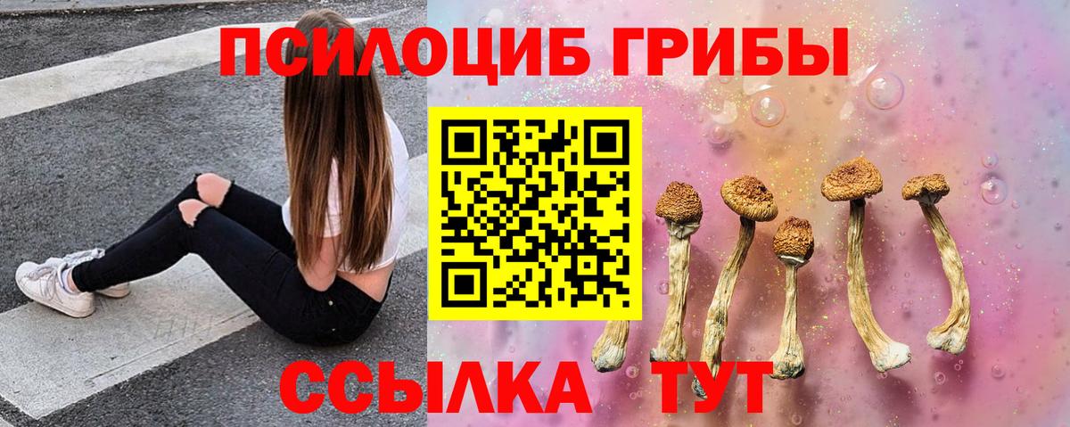 Галлюциногенные грибы Cubensis  Вход с VPN  Ноябрьск  Псилоцибиновые грибы ЛСД 